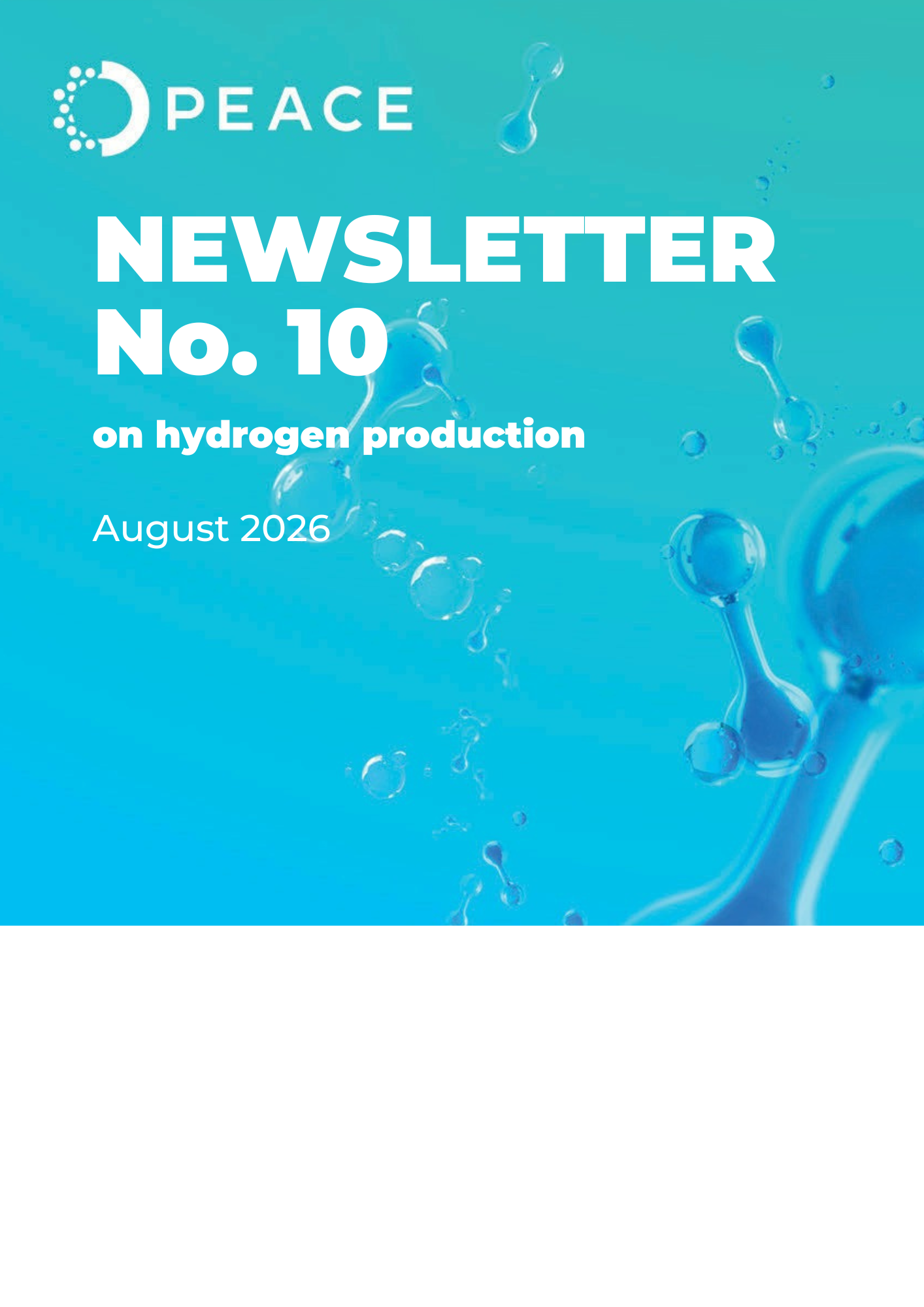 PEACE Newsletter #10: Moving towards the 50 kW high-pressure demonstrator